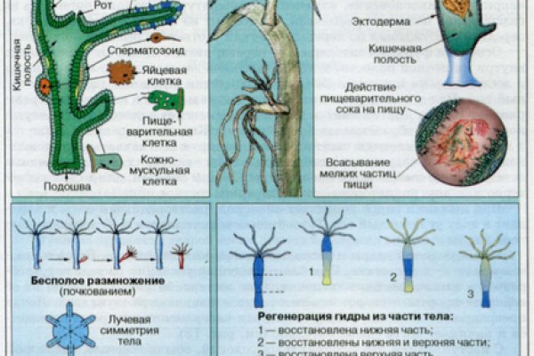 Kraken darknet market ссылка