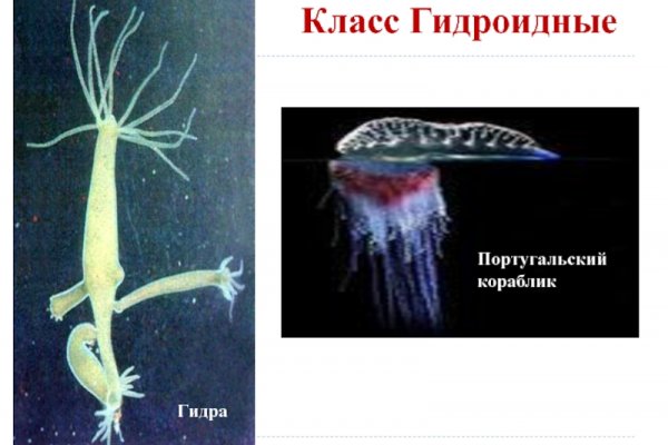 Кракен сыл ссылка