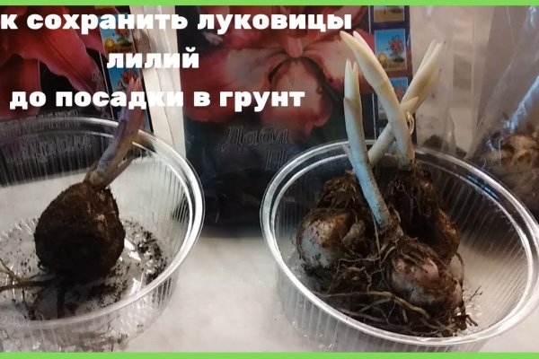 Сайты продаж наркотиков
