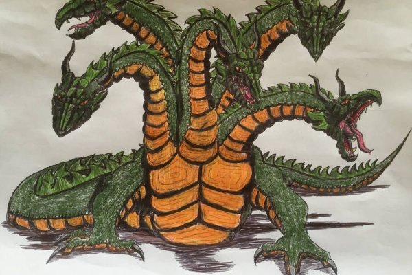 Kraken 24 top