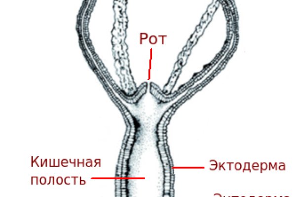 Kraken зеркала kr2web in