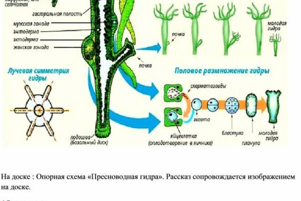 Кракен шоп даркнет