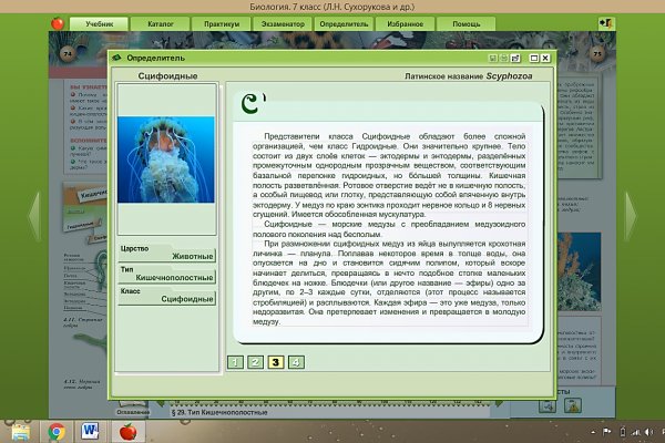 Кракен зеркало на тор