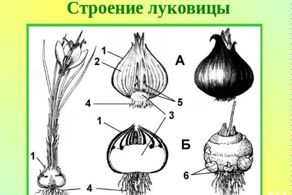Как зайти на кракен через тор