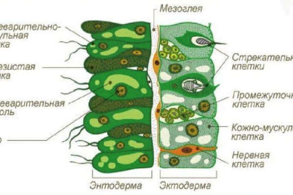 Kra32cc