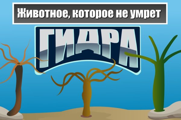 Кракен at