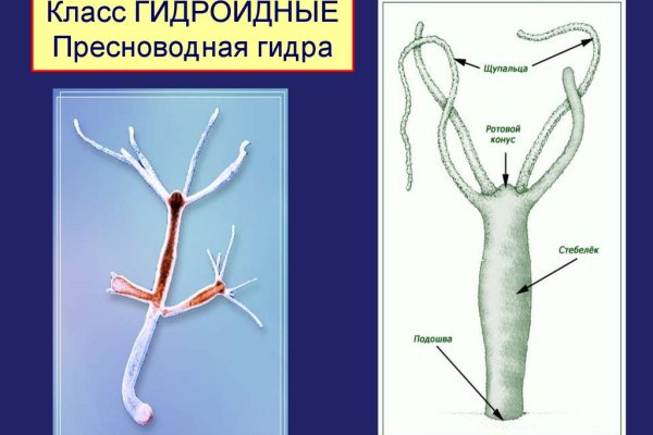 Что за площадка кракен