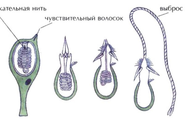 Кракен оф