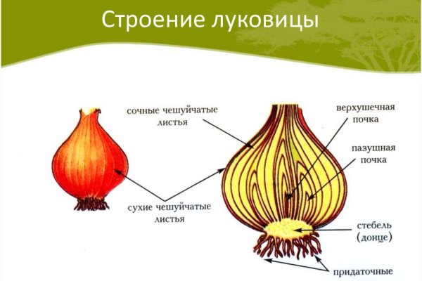 Кракен даркен