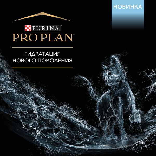 Кракен шоп зеркало